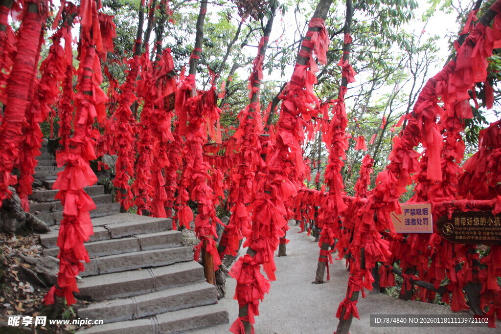 红绸祈福树 山间祈愿景