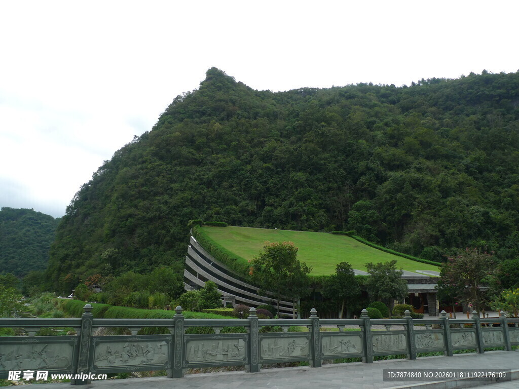 山间公路旁的绿意景致