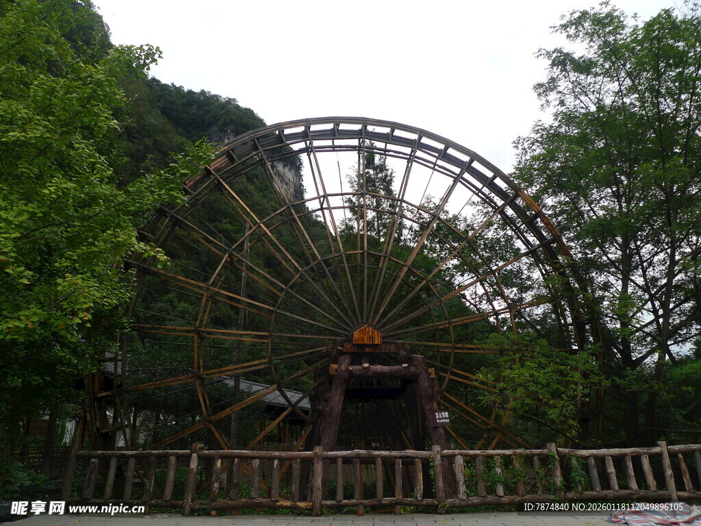 公园中的大型摩天轮景观