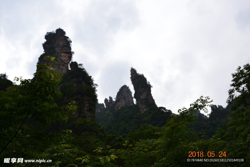 奇峰耸立的壮美山林景观