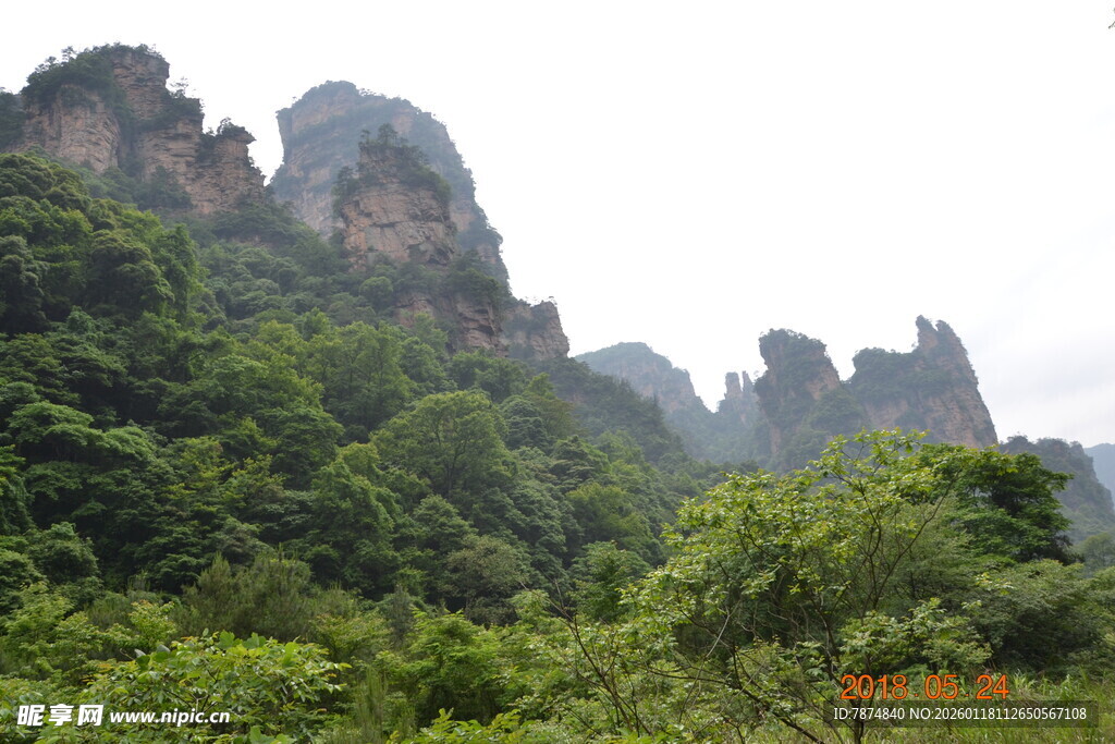 奇峰林立的翠绿山林