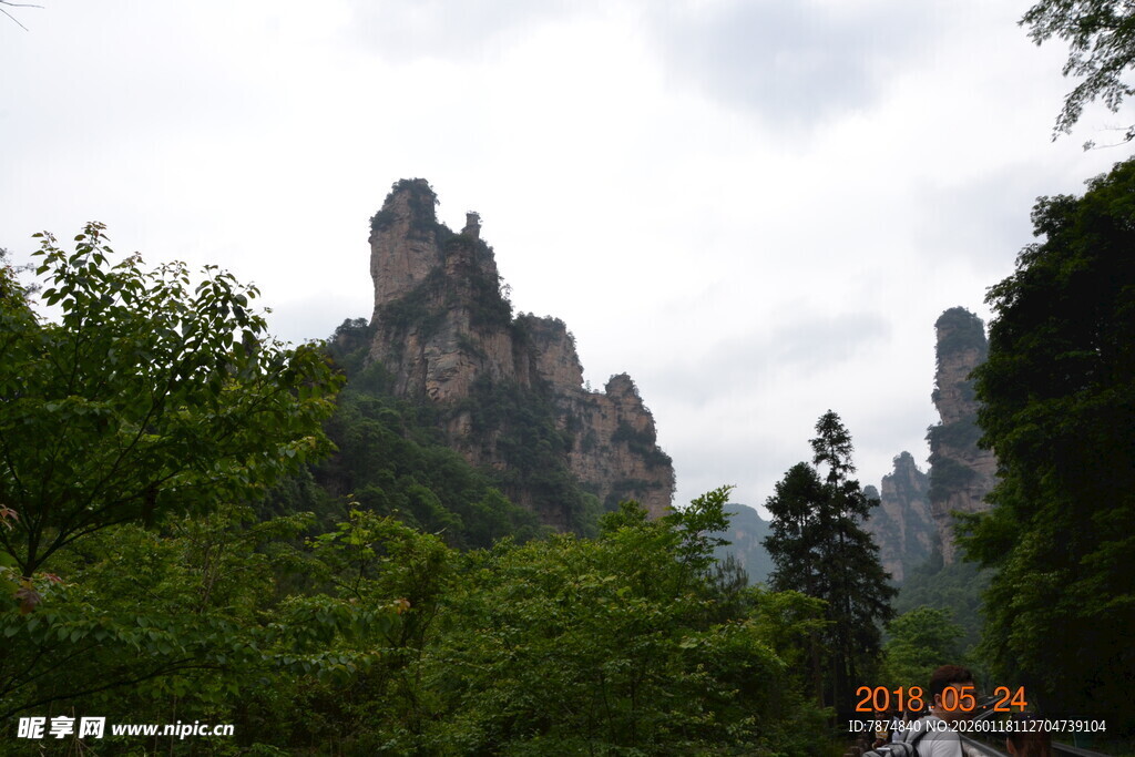 奇峰耸立的山林景观