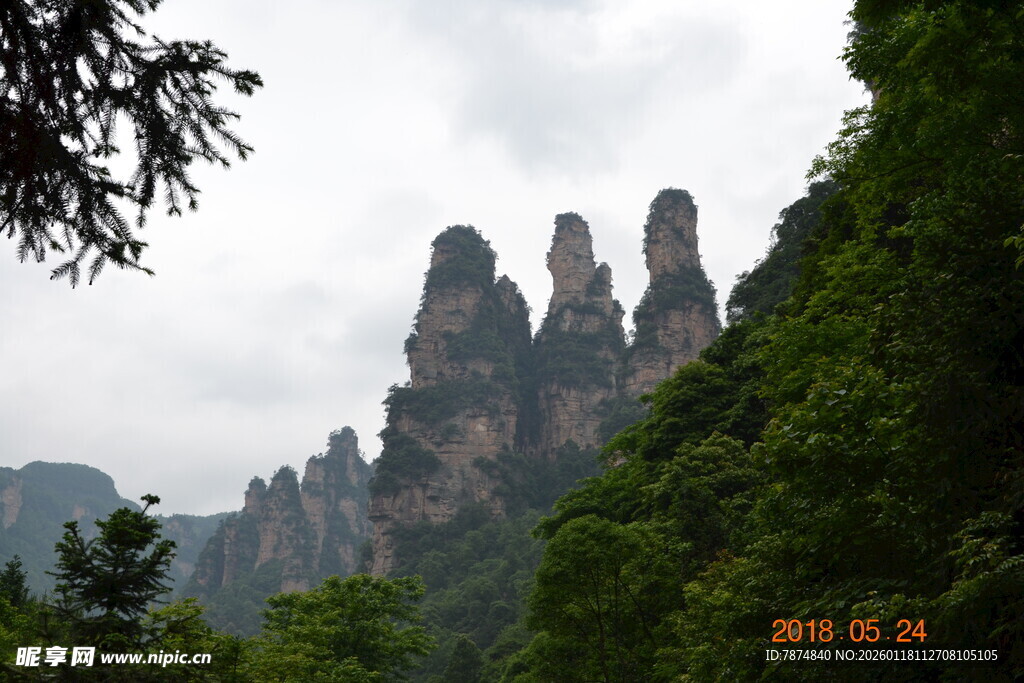 奇峰耸立的山林景观