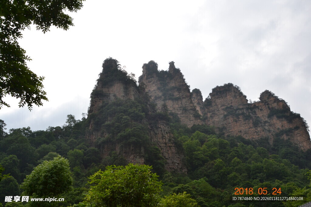 奇峰耸立于绿意山林间