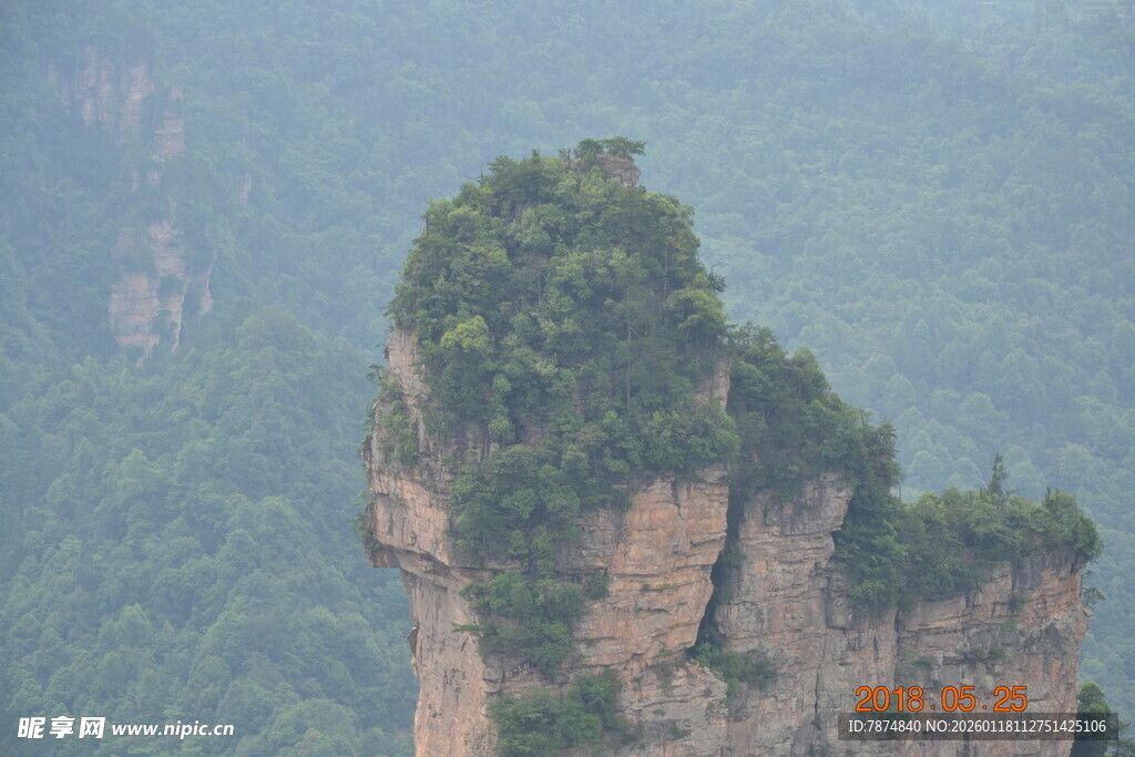 奇峰屹立于山林间