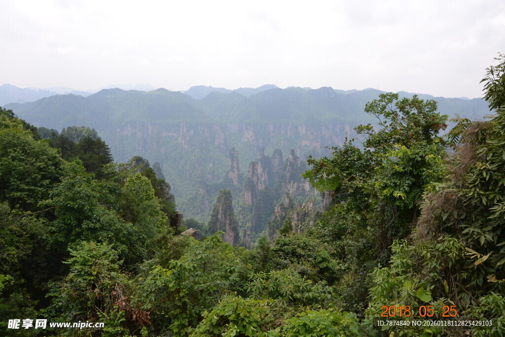 张家界奇峰异林景观