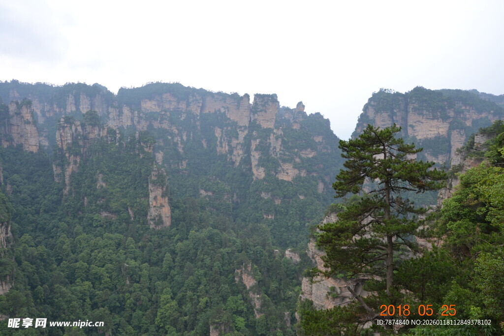壮丽山景 绿意盎然的奇峰