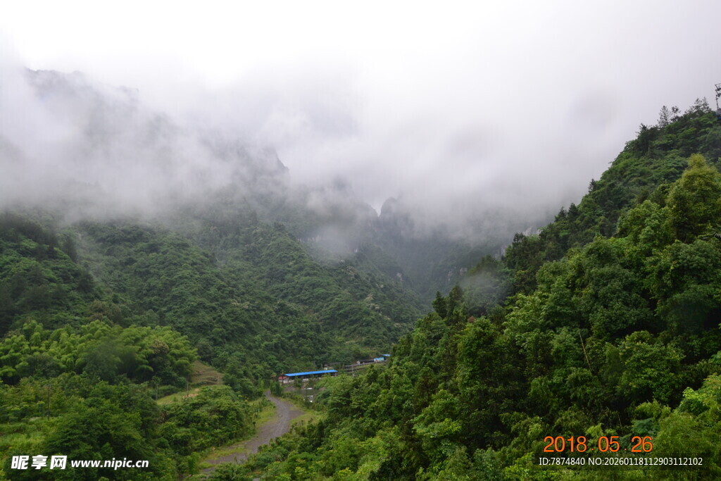 山间云雾缭绕的翠绿景致