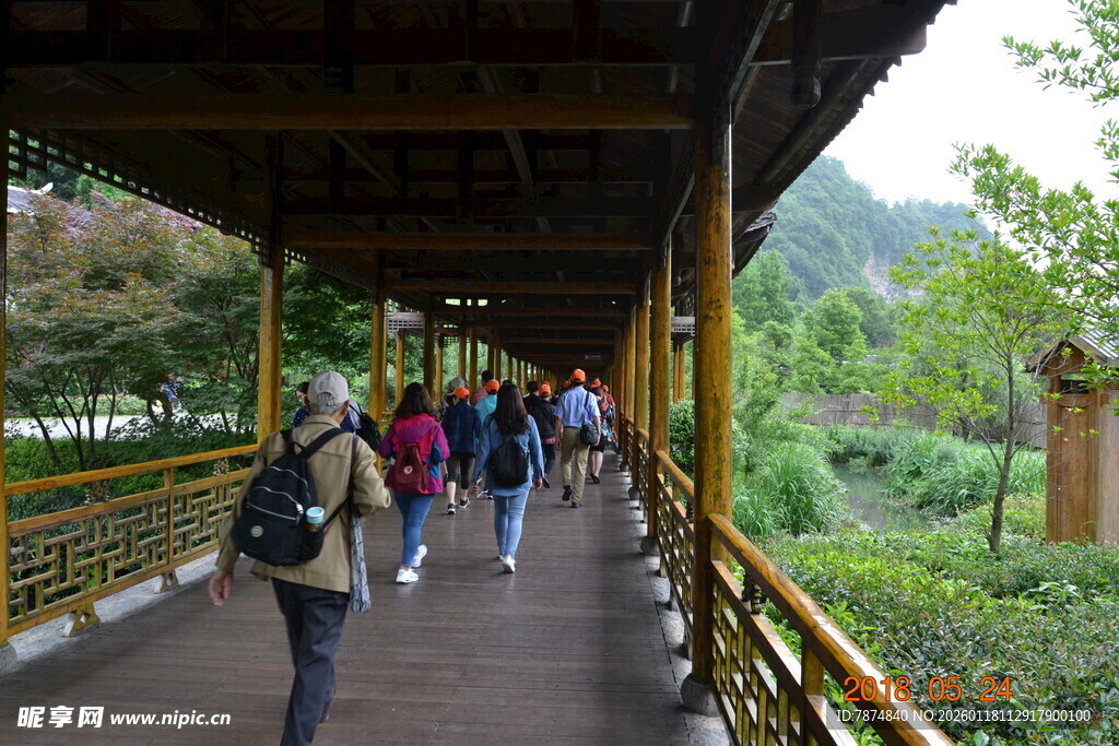 游客漫步木质长廊赏景