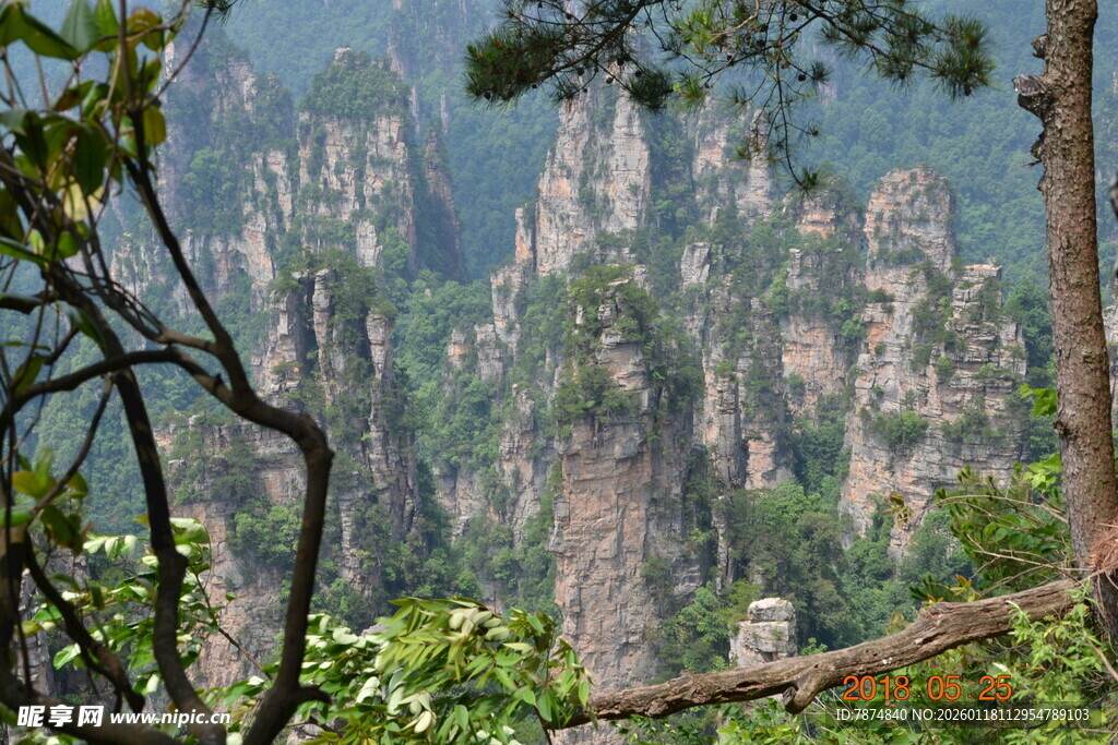 张家界奇峰美景