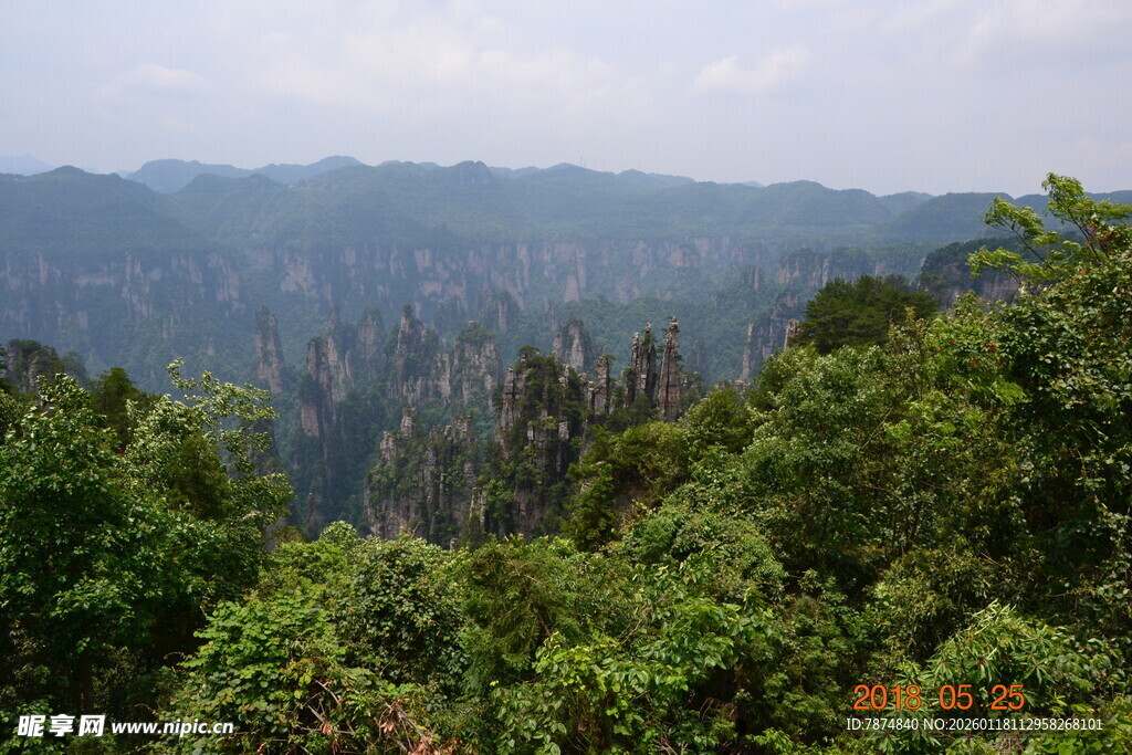山林葱郁的自然景观