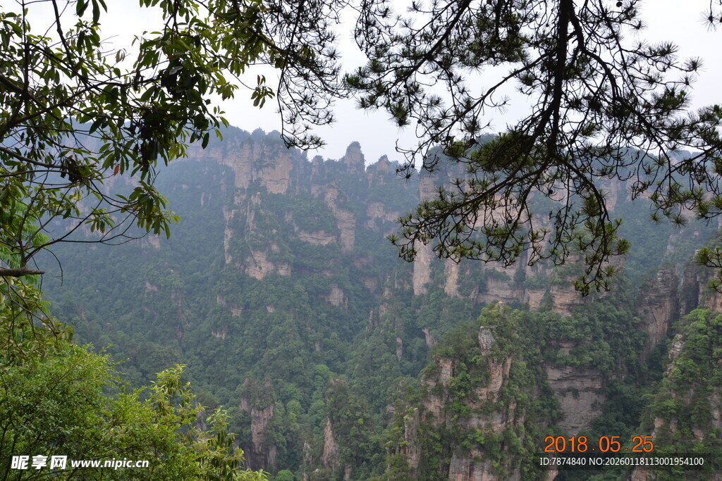 山林葱郁的壮美自然景观