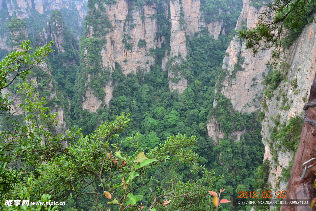 张家界奇峰异林景观