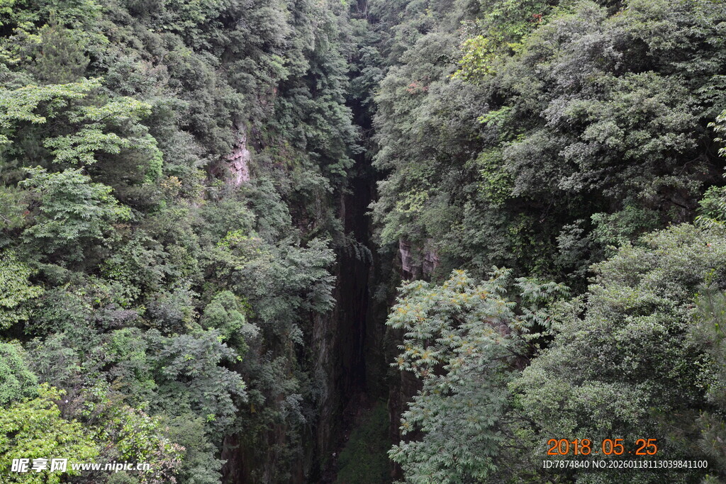 峡谷间的茂密绿意