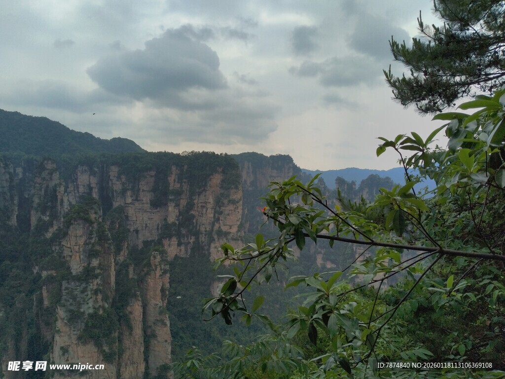 壮丽山峦间的绿意景致