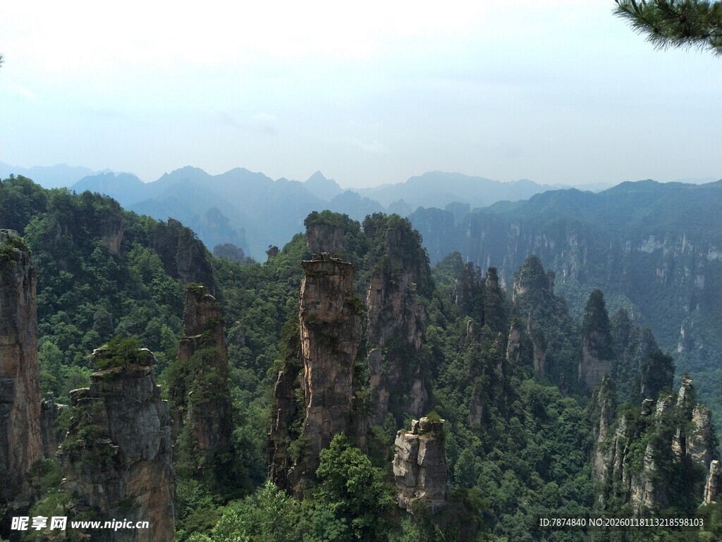 张家界奇峰美景