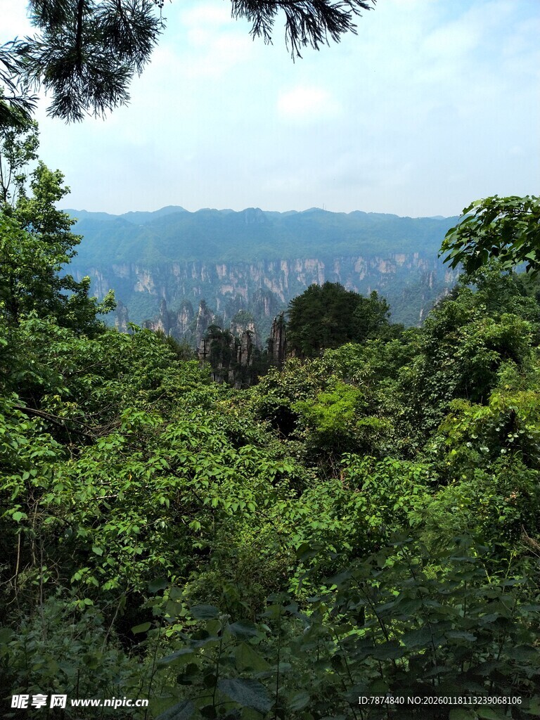 山林间远眺城市风光