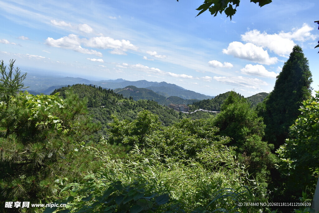 山间绿野风光