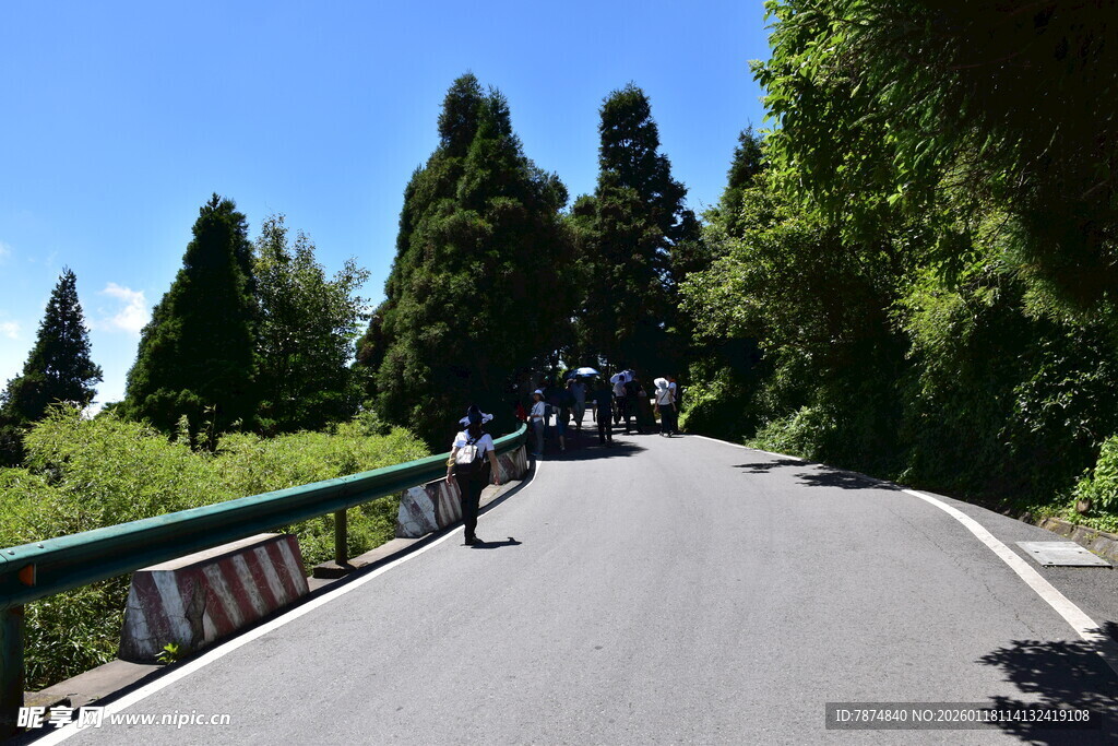 山间骑行路 绿意伴前行