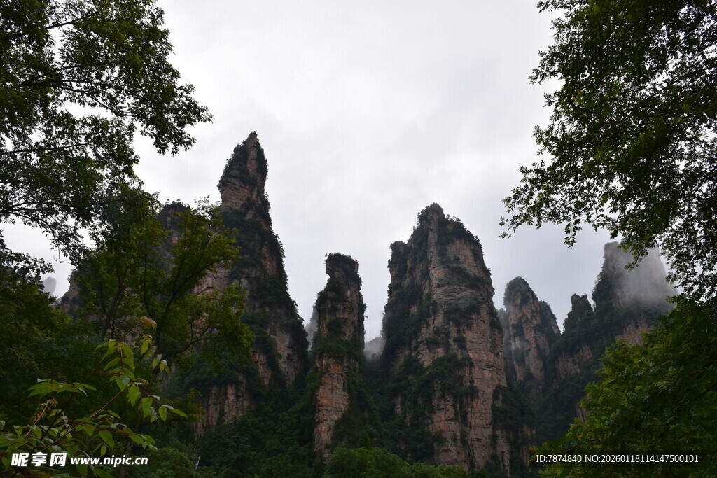 张家界奇峰异石景观