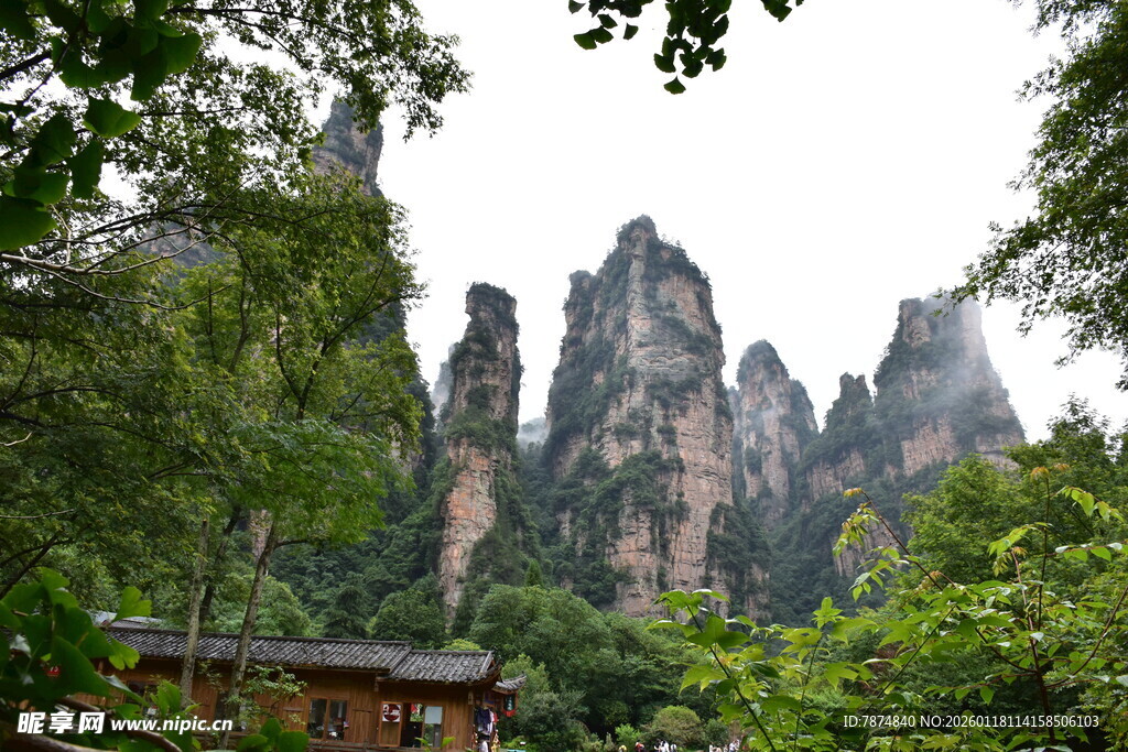 张家界奇峰异石美景