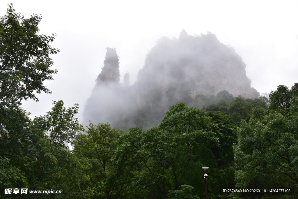 云雾缭绕的山林景观