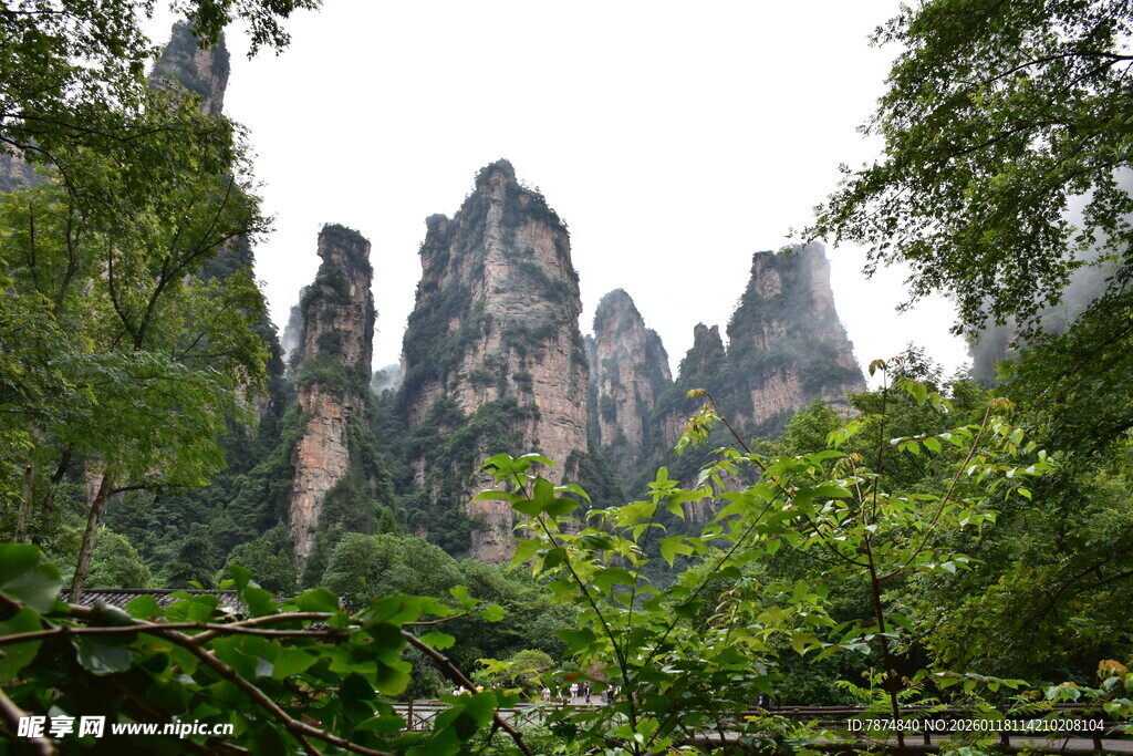张家界奇峰异石景观
