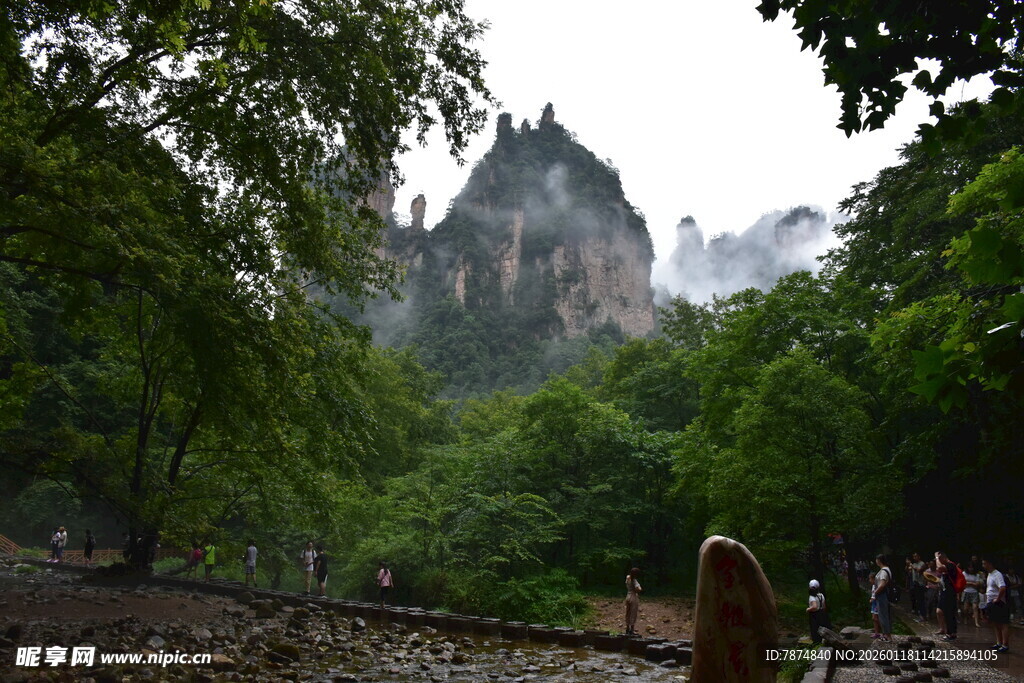 张家界山林间的秀丽风光