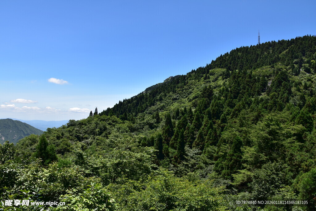 青山绿树间的秀丽自然风光