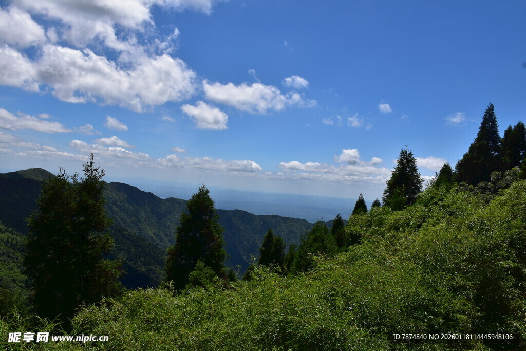 山间美景 蓝天白云绿树
