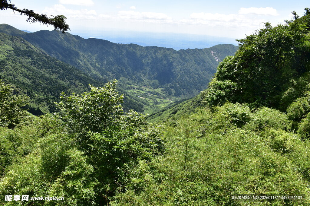 翠绿山谷间的自然美景