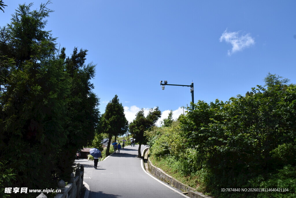 林间骑行道 畅享自然风景