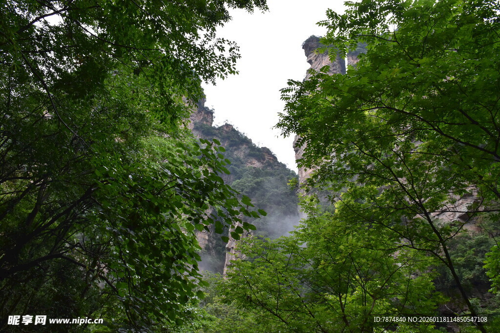 山林间的巍峨奇峰