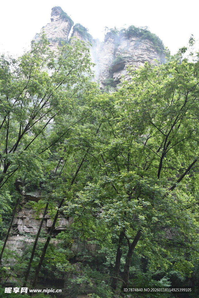 山林葱郁间的秀丽山峰