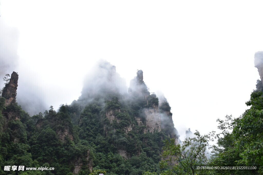 云雾缭绕的壮美山峰