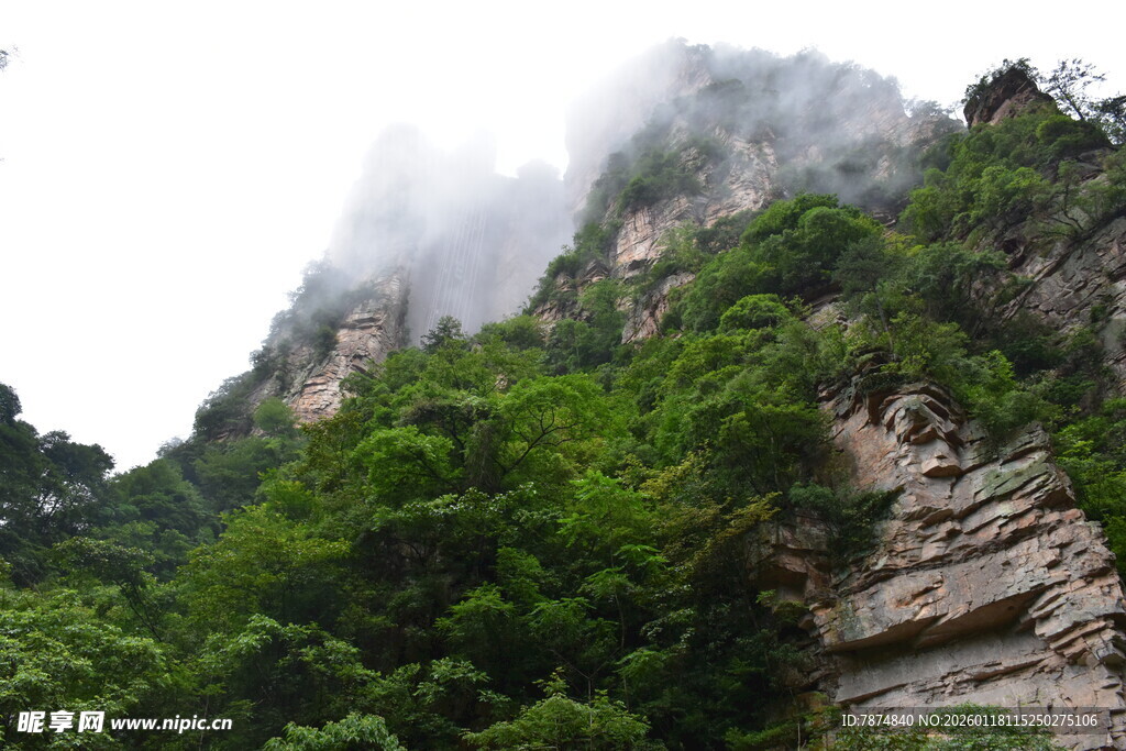 云雾缭绕的翠绿山峰
