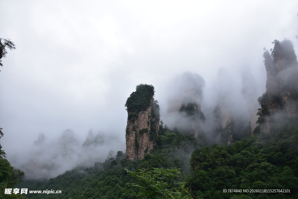 云雾缭绕的壮美奇峰