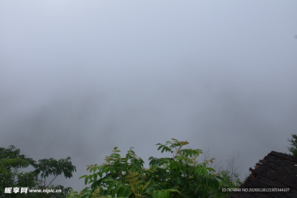 山间雾景 绿意朦胧