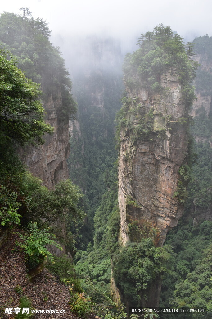 云雾缭绕的壮美奇峰