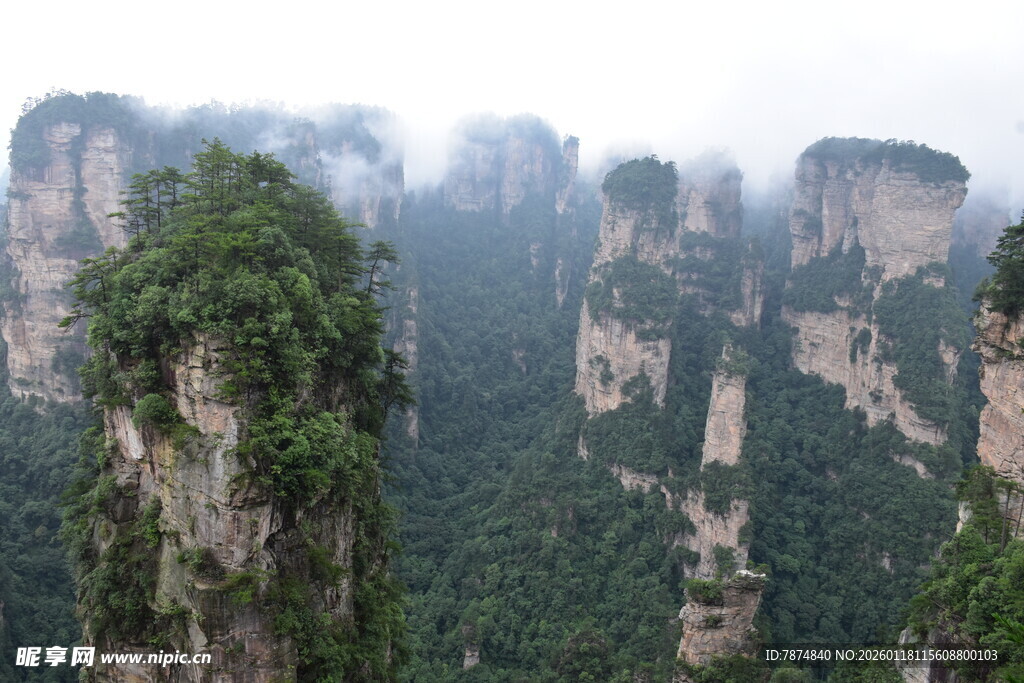 张家界奇峰云雾景观