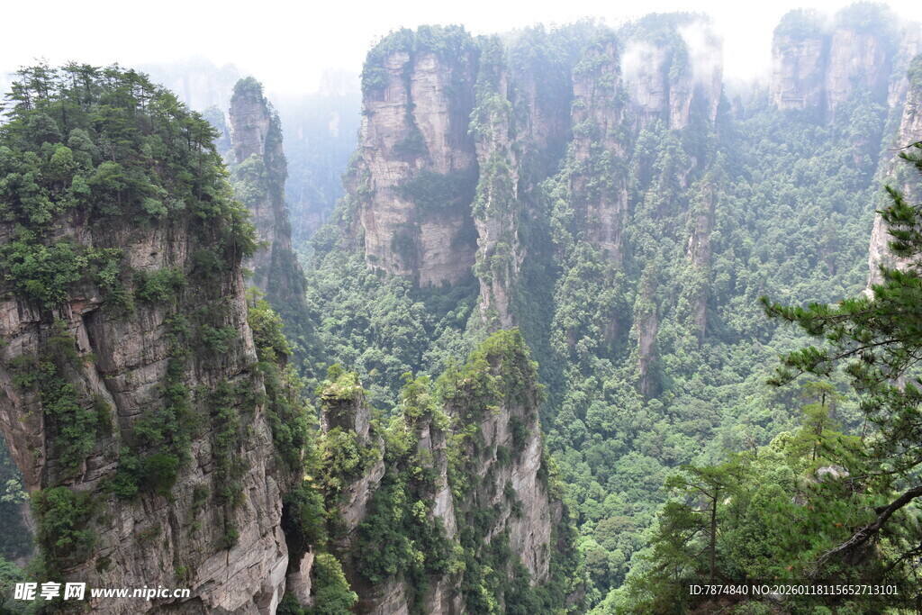 张家界奇峰异石景观