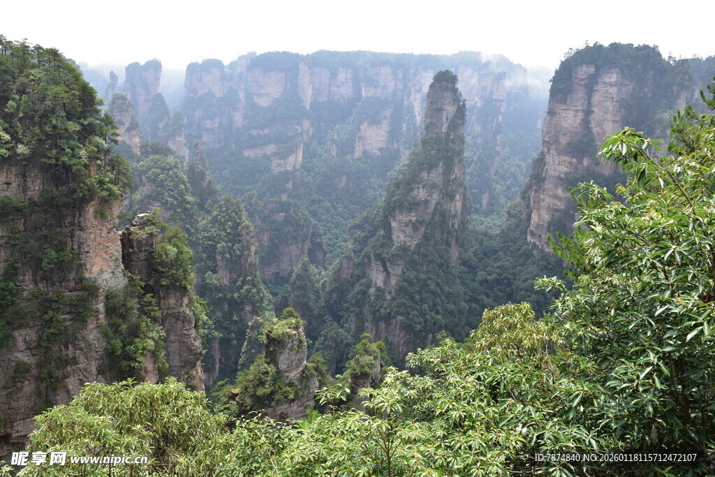 张家界奇峰异景