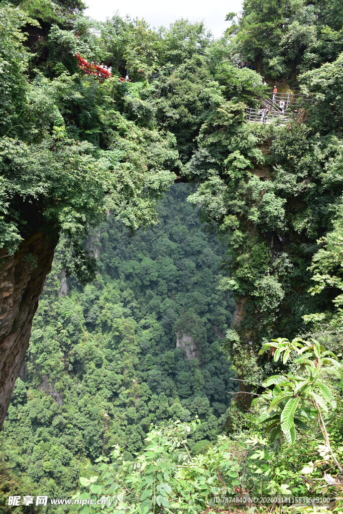 茂密山林间的幽深峡谷