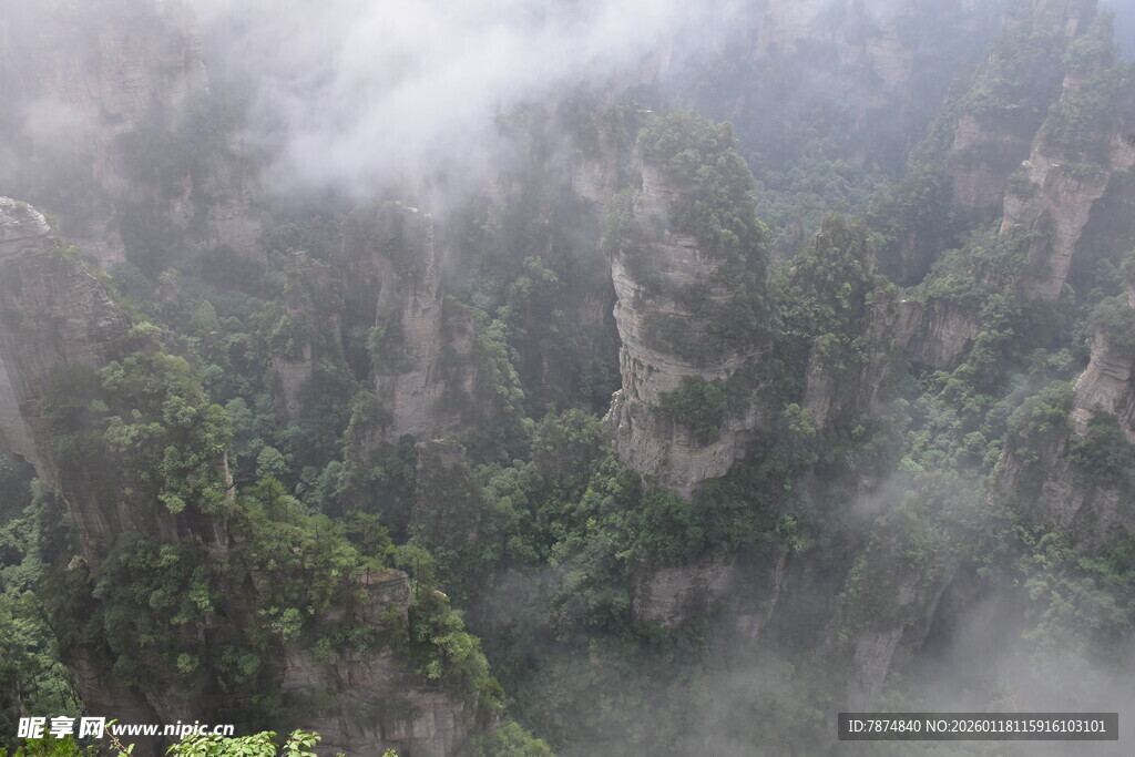 云雾缭绕的壮美山林景观