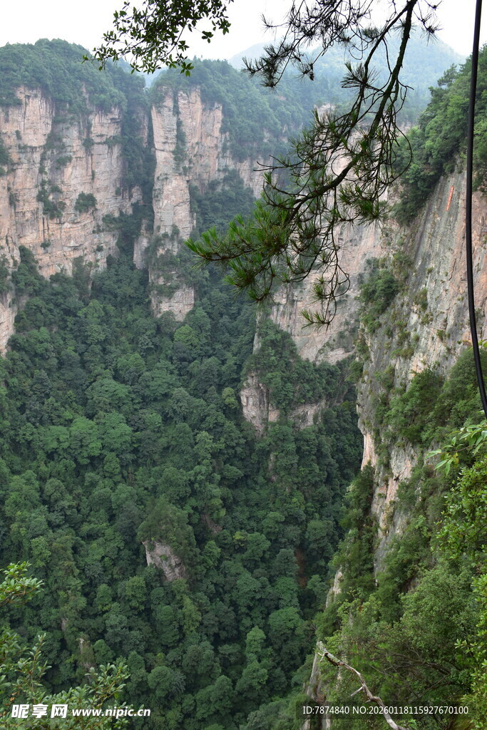 壮丽峡谷间的葱郁山林