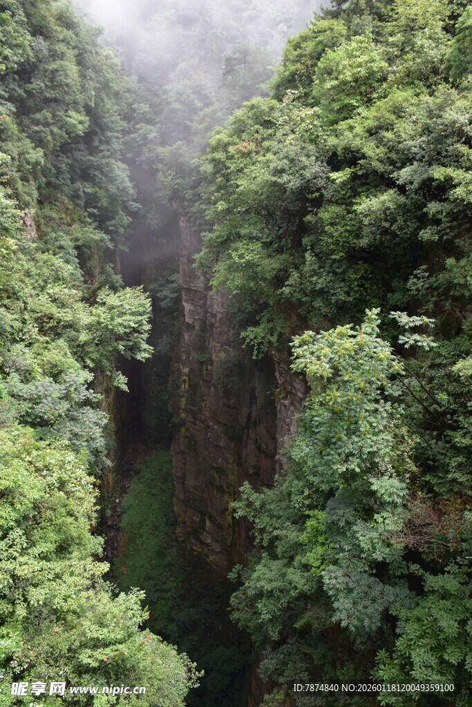 山间峡谷绿意盎然的景致