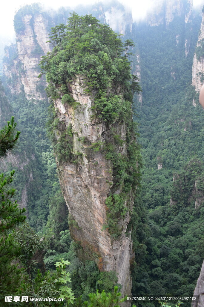 奇峰耸立的山林景观