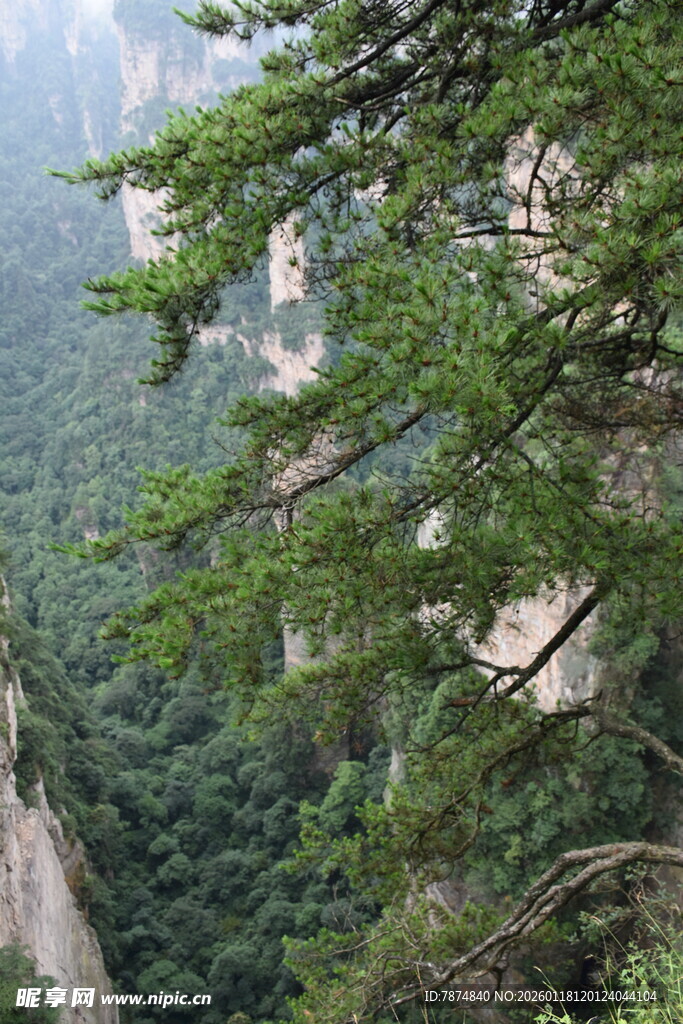 山间绿意盎然的峭壁景色