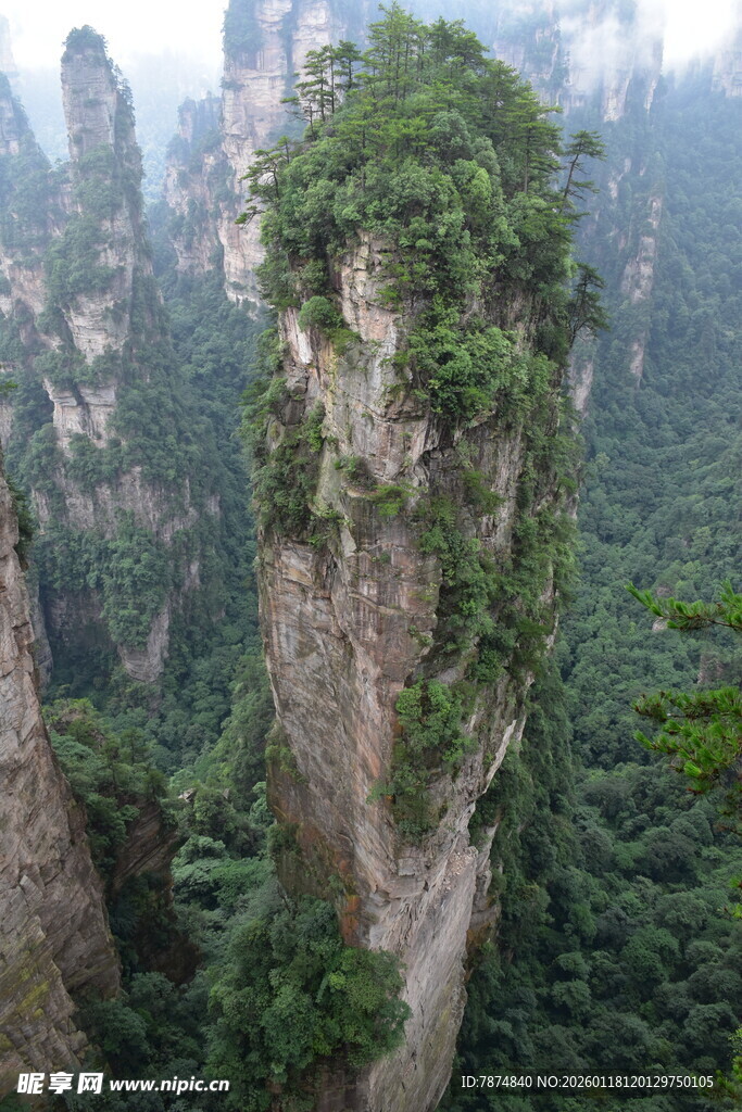 张家界奇峰屹立绿意浓