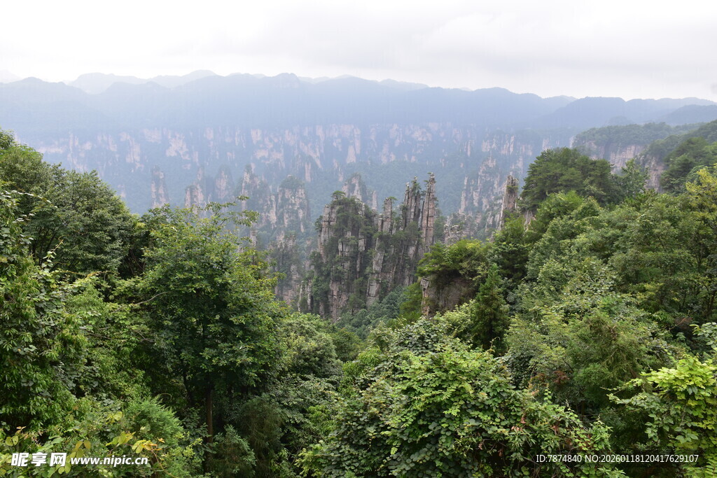 茂密山林俯瞰景观